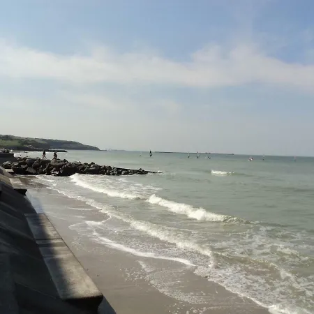 Au Cedre Bleu * Saint-Martin-Boulogne